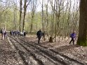 2016-04-07 09-51-10 Rando Poigny la Foret DLe